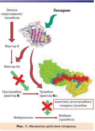 Фраксипарин в ургентной неврологии