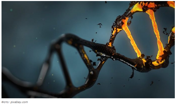 Как мутация в гене становится причиной разных болезней нервной системы