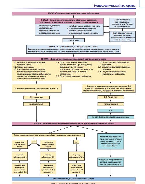 Алгоритм диагностики смерти мозга 