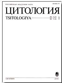 Нейрогенез в нейрогенных нишах головного мозга при экспериментальной болезни Альцгеймера на досимптоматической стадии развития нейродегенерации